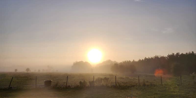 Camper submitted image from More Than Welcome