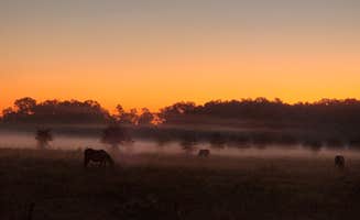 Cory P.'s photo of camping with a horse at More Than Welcome in Florida