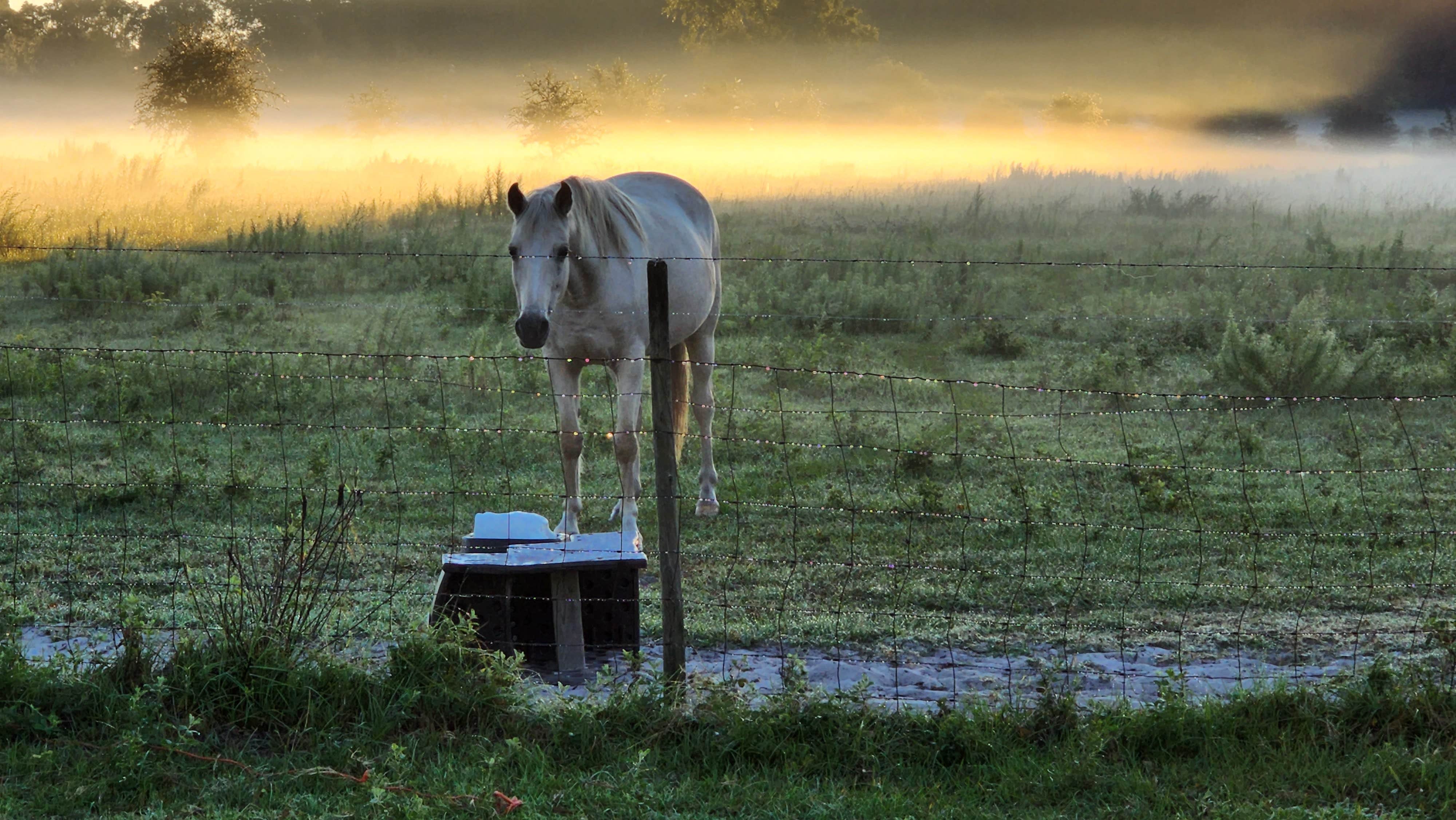 Camper-submitted photo at More Than Welcome near Gainesville, FL