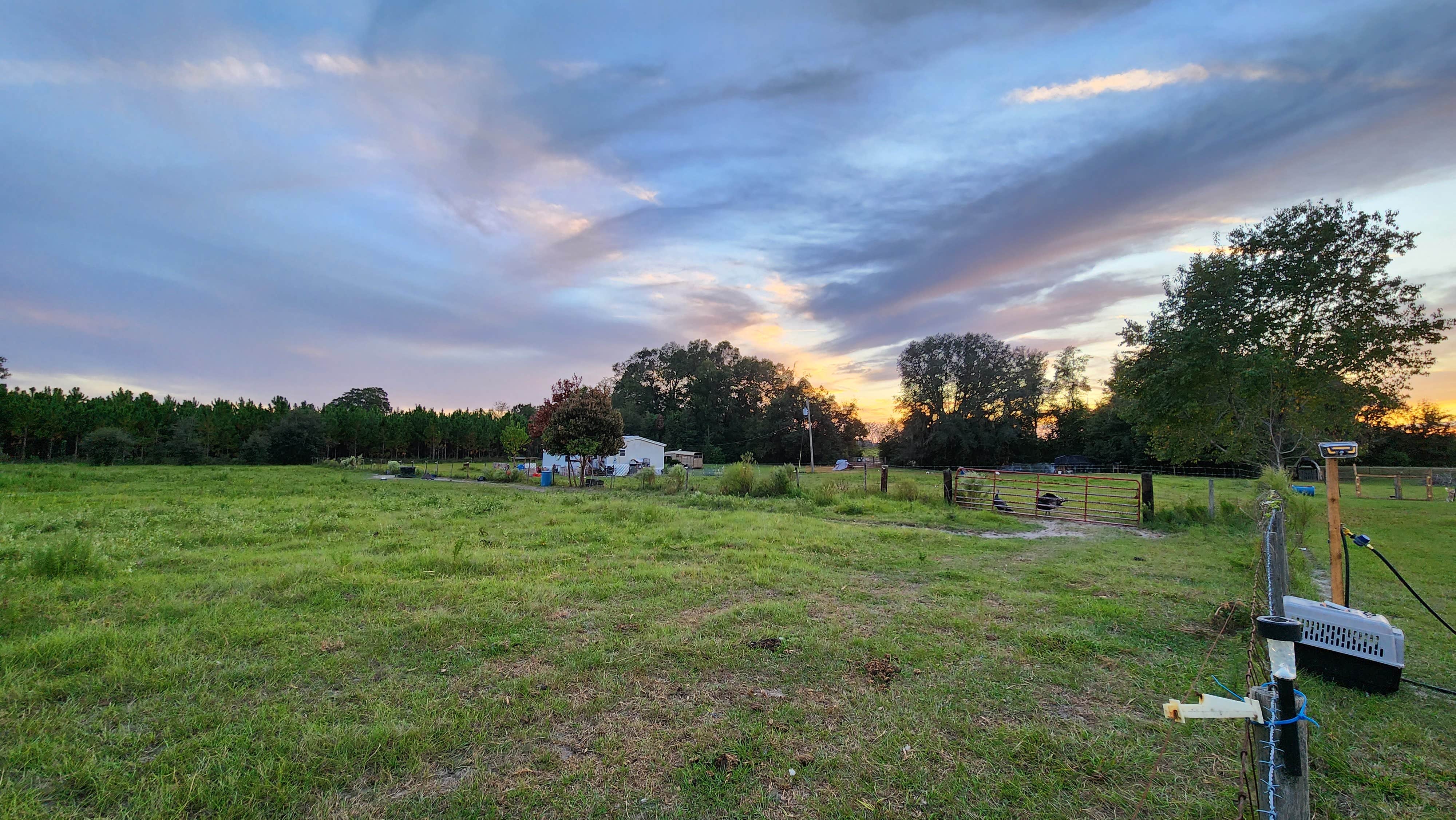 Camper-submitted photo at More Than Welcome near Gainesville, FL