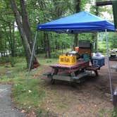 Review photo of Beaver Pond Campground — Harriman State Park by Althea Diane H., September 10, 2018