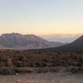 Review photo of Lovell Canyon Dispersed Camping (Spring Mountain) by laura C., October 23, 2022