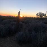 Review photo of Lovell Canyon Dispersed Camping (Spring Mountain) by laura C., October 23, 2022