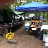 Review photo of Beaver Pond Campground — Harriman State Park by Althea Diane H., September 10, 2018