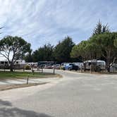 Review photo of Santa Cruz North-Costanoa KOA by Alma L., October 23, 2022