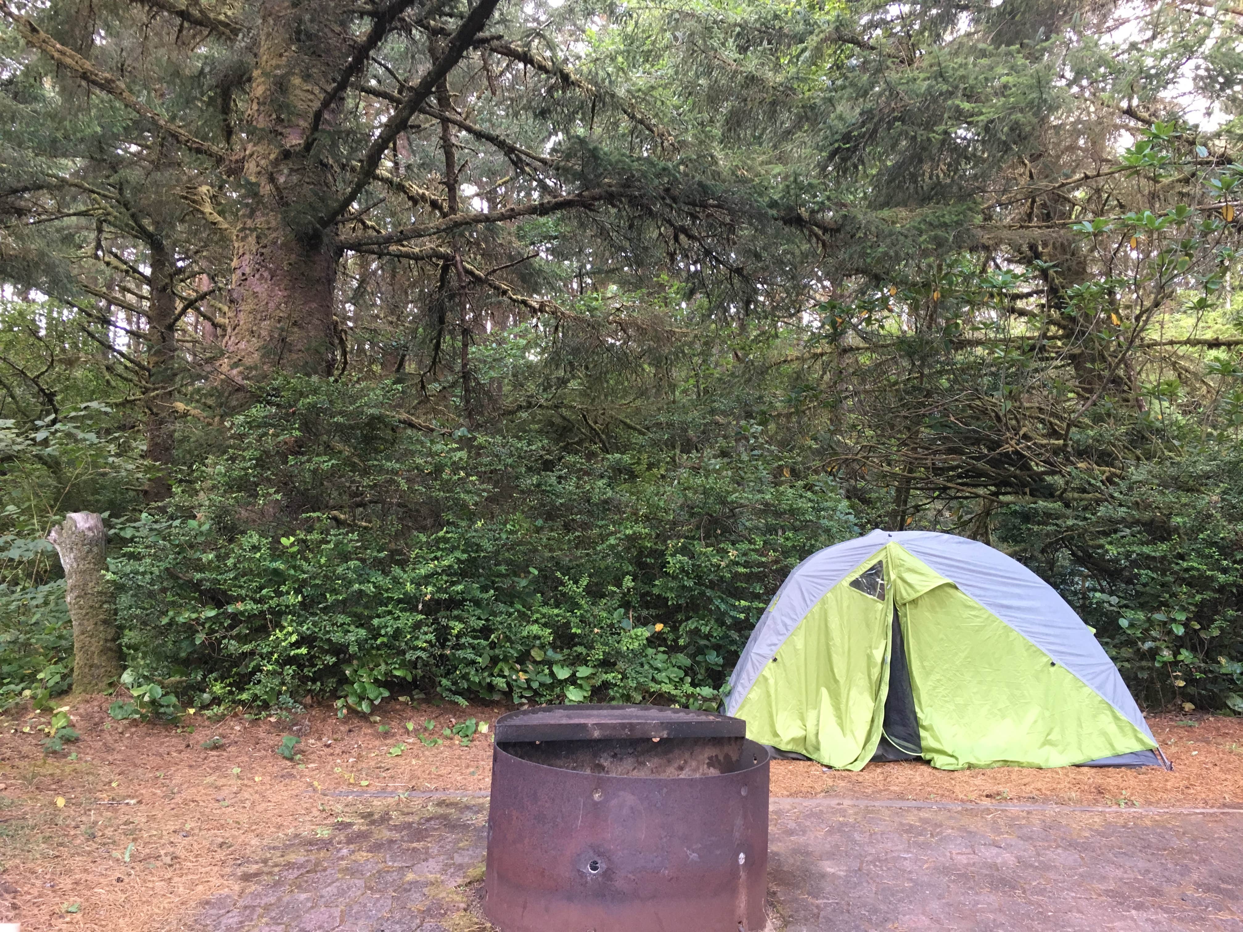 Kelsey M.'s photo at Carl G. Washburne Memorial State Park Campground near Waldport, OR