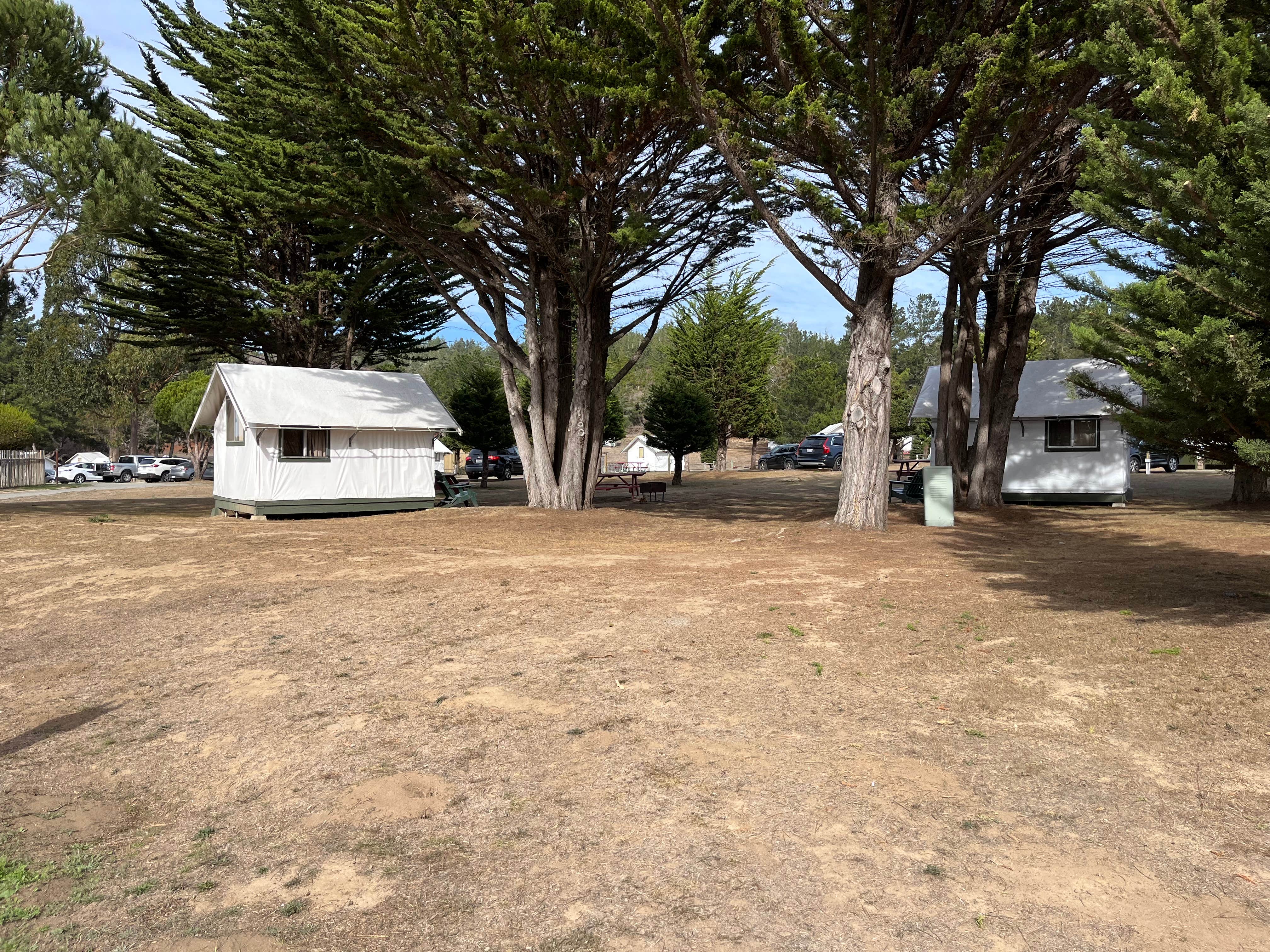 Camper-submitted photo at Santa Cruz North-Costanoa KOA near Soquel, CA