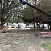 Review photo of Santa Cruz North-Costanoa KOA by Alma L., October 23, 2022