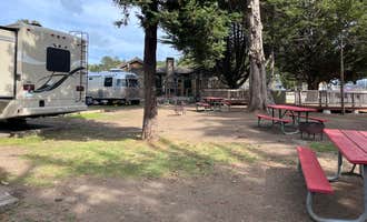 Camping near Mount Madonna: Santa Cruz North-Costanoa KOA, Freedom, California