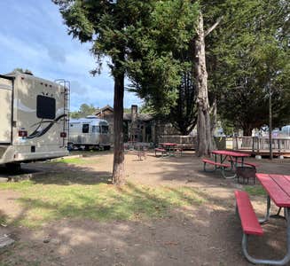 Camper-submitted photo from Cotillion Gardens RV Park