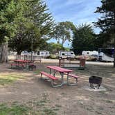 Review photo of Santa Cruz North-Costanoa KOA by Alma L., October 23, 2022