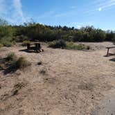 Review photo of Dead Horse Ranch State Park Campground by Denise G., October 23, 2022