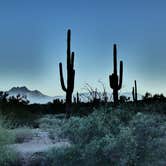 Review photo of Lost Dutchman State Park Campground by Denise G., October 23, 2022