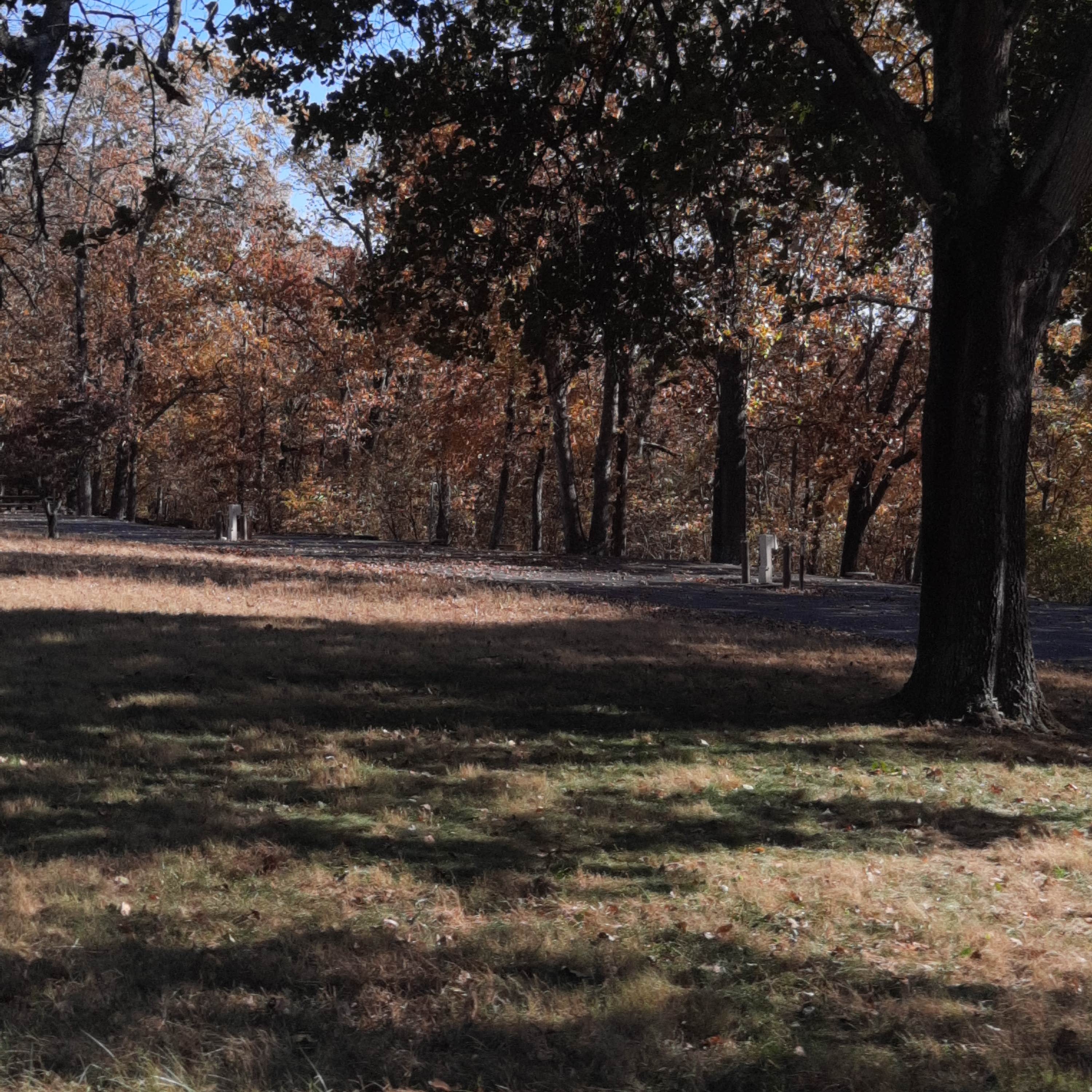 Coe Table Rock Lake Cricket Creek Recreation Area Camping 