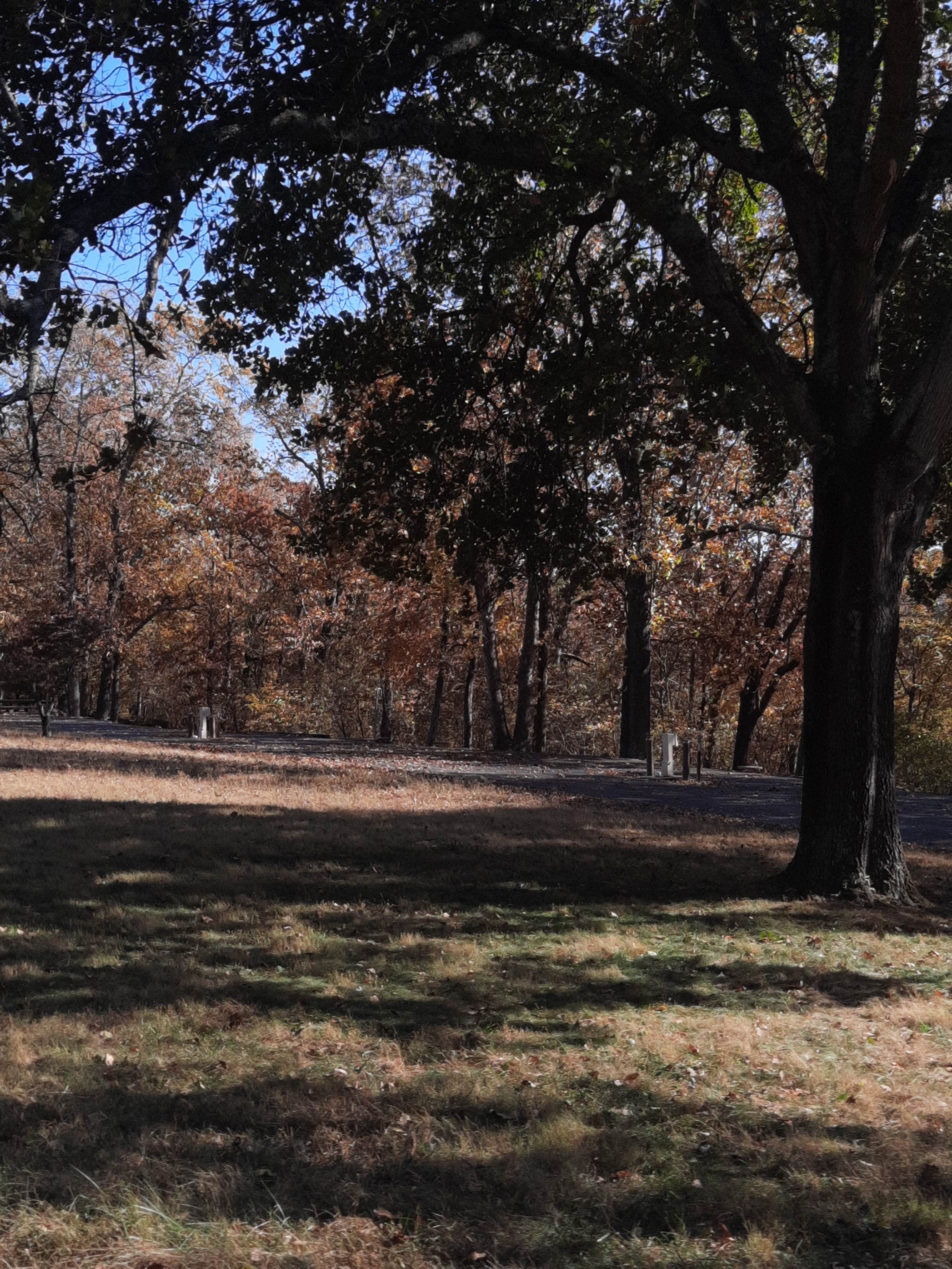 Camper submitted image from COE Table Rock Lake Cricket Creek Recreation Area - 2