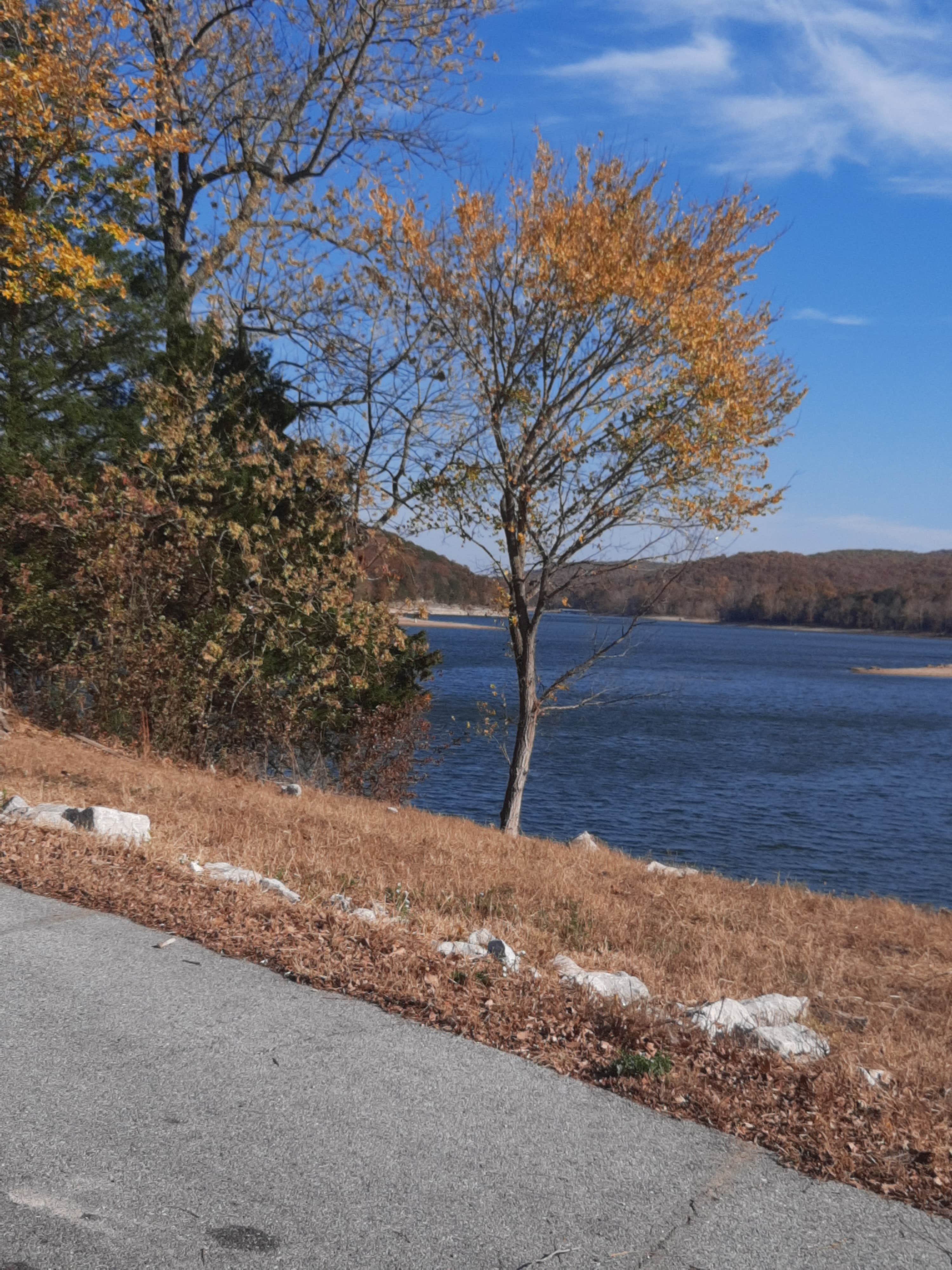 Camper submitted image from COE Table Rock Lake Cricket Creek Recreation Area - 4