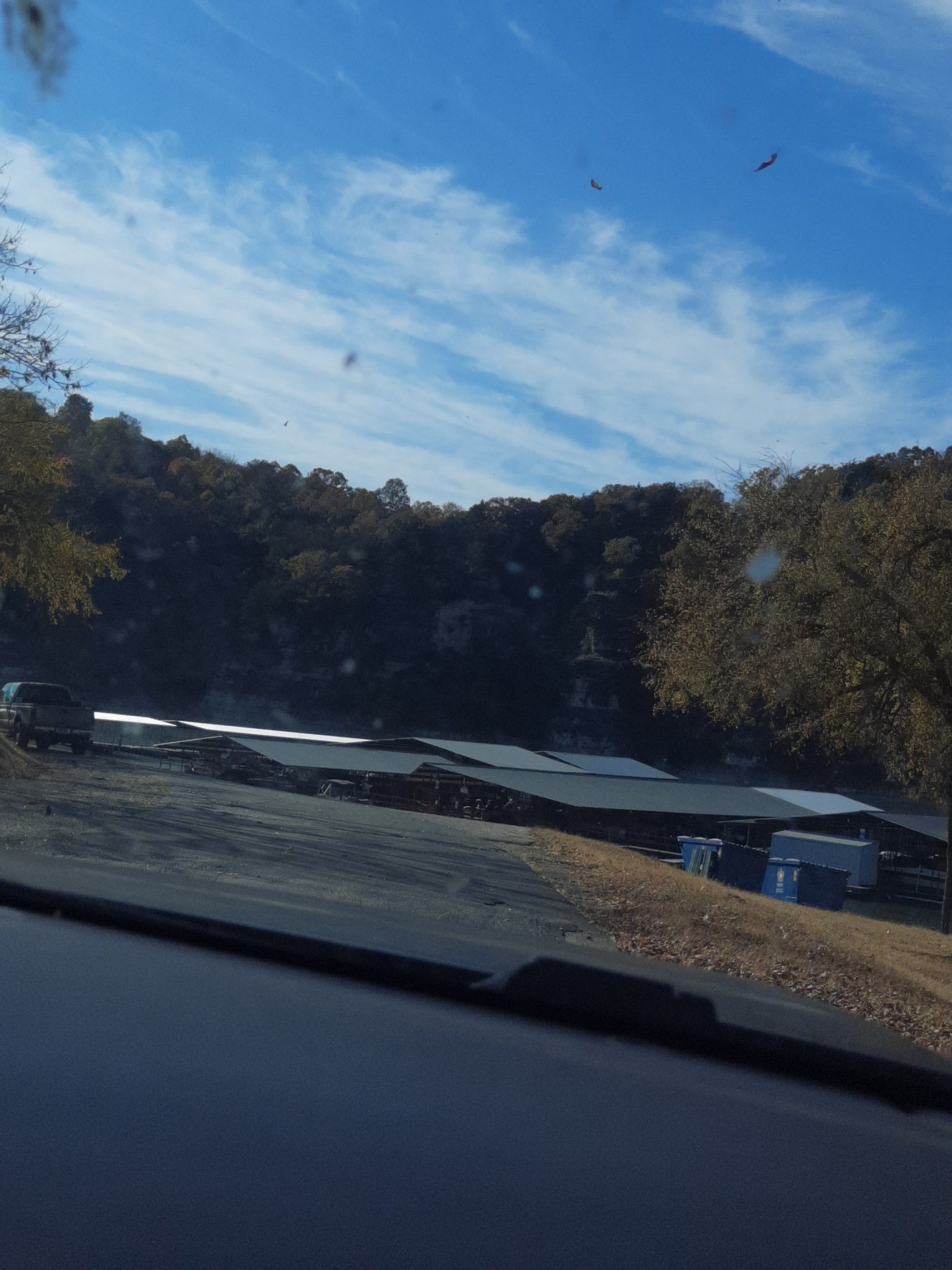 Camper submitted image from COE Table Rock Lake Cricket Creek Recreation Area - 5
