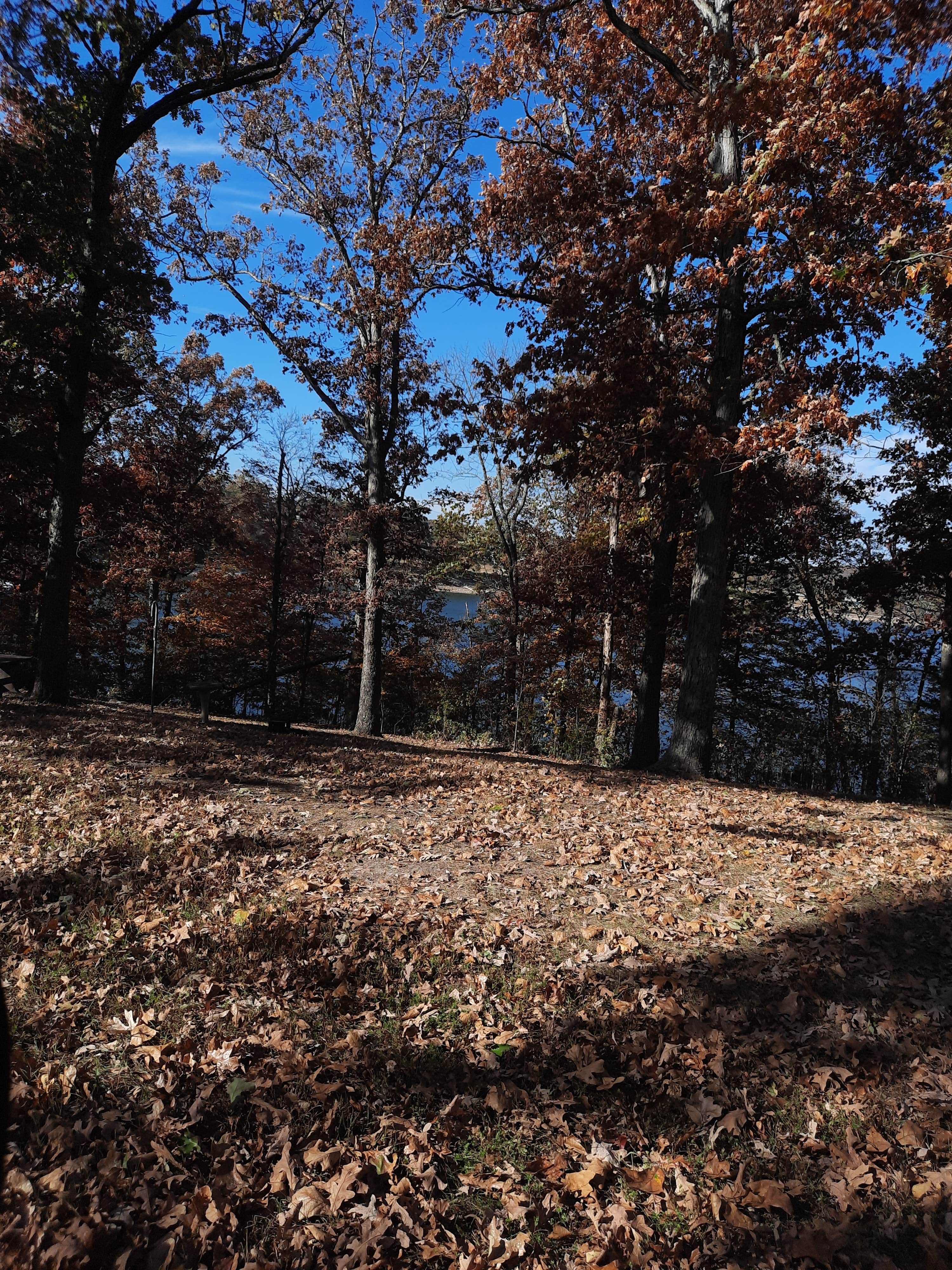Camper submitted image from COE Table Rock Lake Cricket Creek Recreation Area - 1