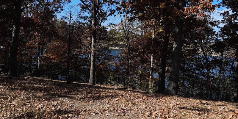 Camper submitted image from COE Table Rock Lake Cricket Creek Recreation Area