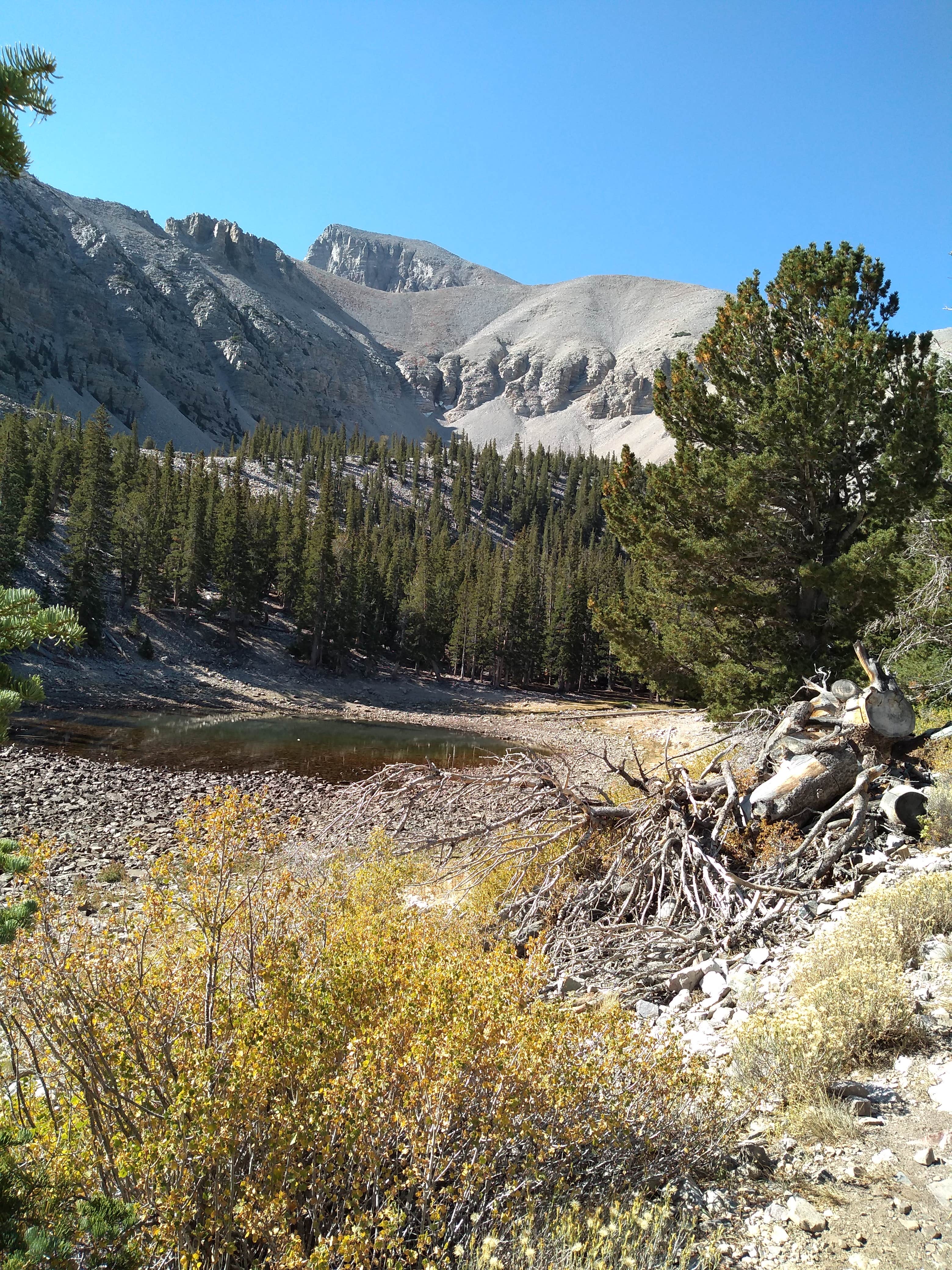 Wheeler Peak as seem from Alpine Lakes trail....several trail heads from camoground.