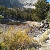 Review photo of Wheeler Peak Campground — Great Basin National Park by Heather F., September 10, 2018