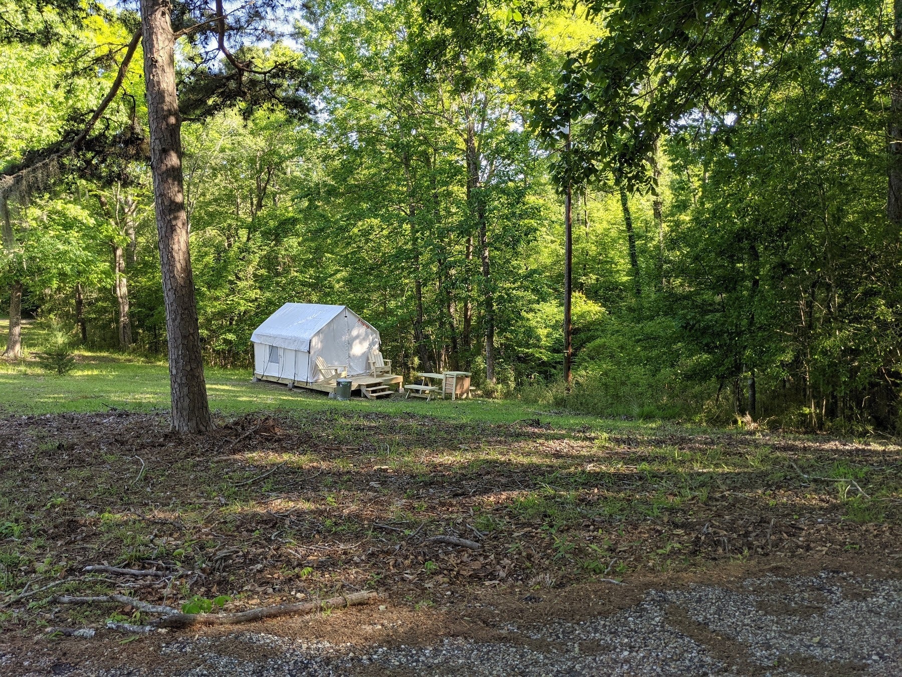 Camper submitted image from Tentrr State Park Site - Louisiana Chicot State Park - Site H - Single Camp - 1