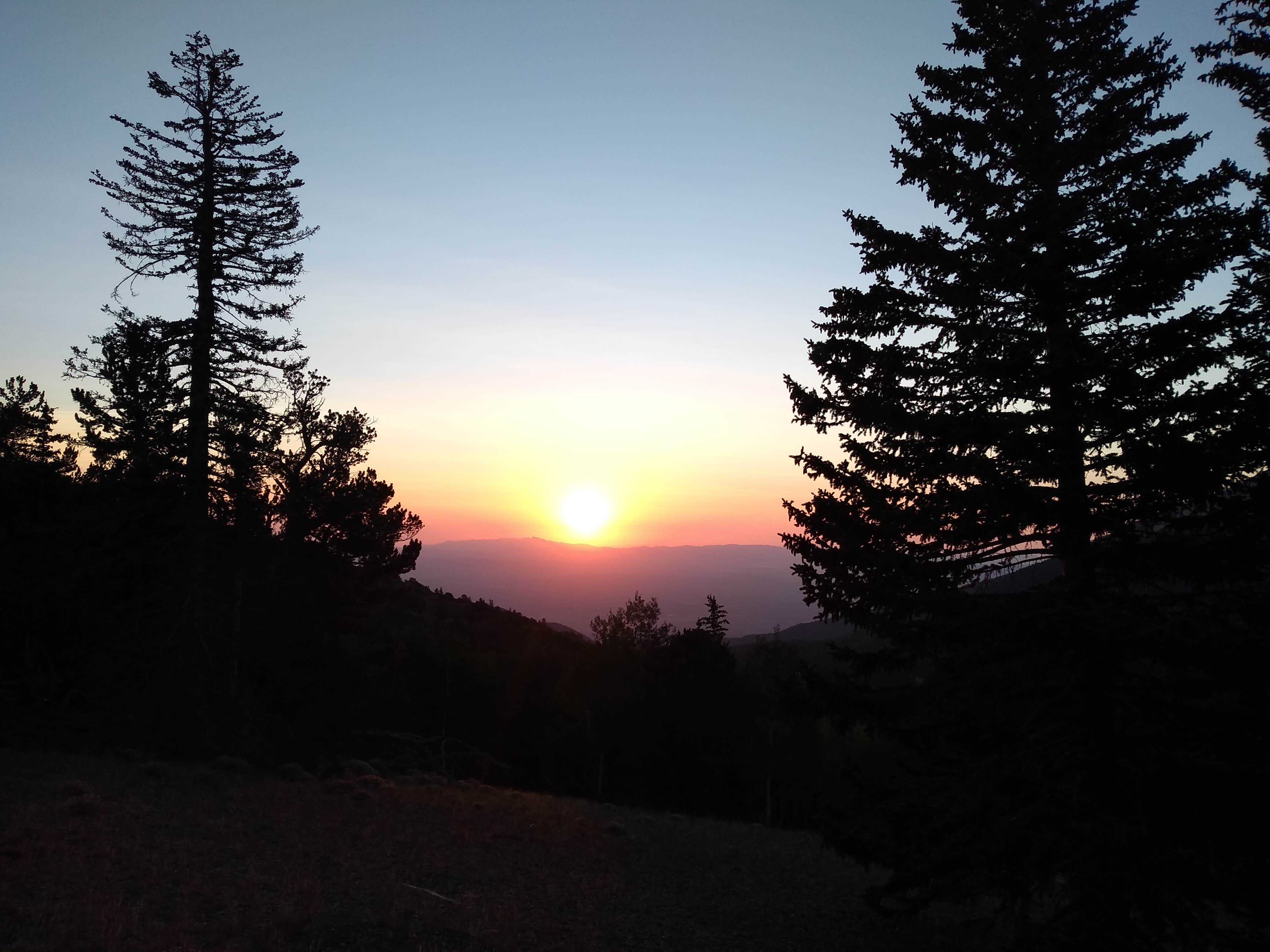 Sunrise 