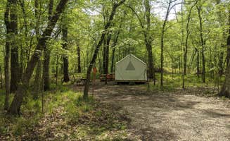 The Dyrt's photo at Tentrr State Park Site - Louisiana Chicot State Park - Site A - Single Camp near Eunice, LA