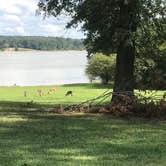 Review photo of Persimmon Hill(enid Lake) by Shana D., September 10, 2018
