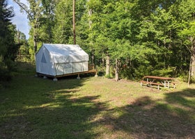 Tentrr State Park Site - Louisiana Chicot State Park - Site D - Single Camp