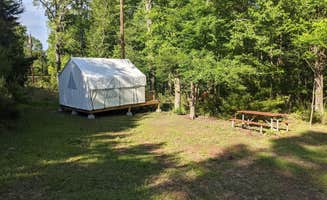 The Dyrt's photo at Tentrr State Park Site - Louisiana Chicot State Park - Site D - Single Camp near Eunice, LA