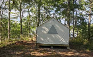 The Dyrt's photo at Tentrr State Park Site - Louisiana Chicot State Park - Site G - Single Camp near Mansura, LA
