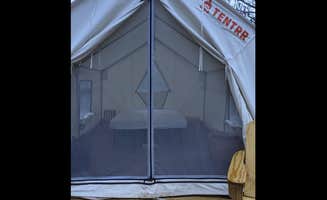 The Dyrt's photo at Tentrr State Park Site - Louisiana Chicot State Park - Site G - Single Camp near Eunice, LA