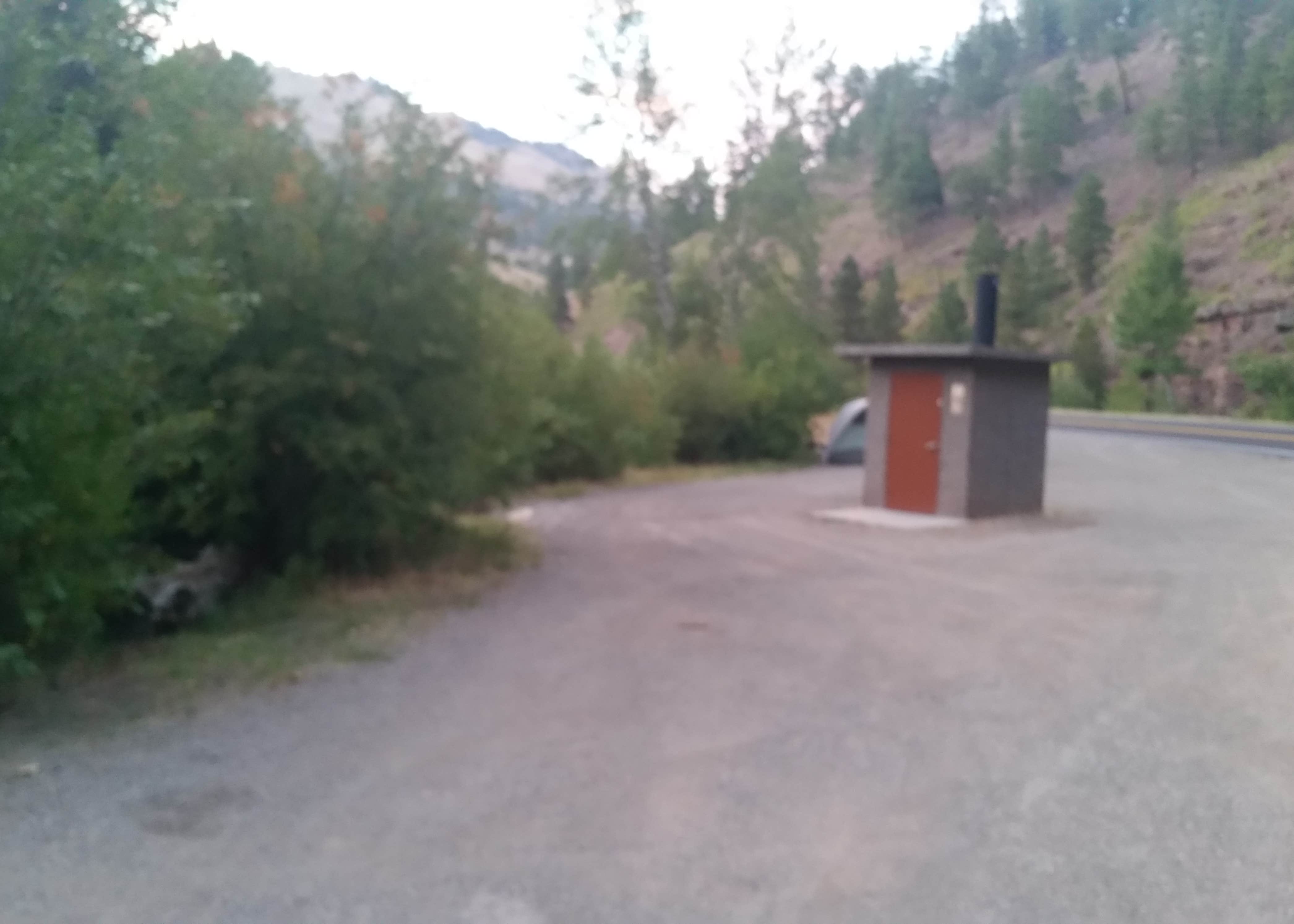 View All