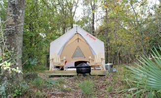 The Dyrt's photo at Tentrr State Park Site - Louisiana Fontainebleau State Park - Pond View E - Single Camp near New Orleans, LA