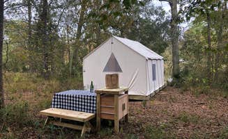 The Dyrt's photo at Tentrr State Park Site - Louisiana Fontainebleau State Park - Pond View E - Single Camp near Picayune, MS
