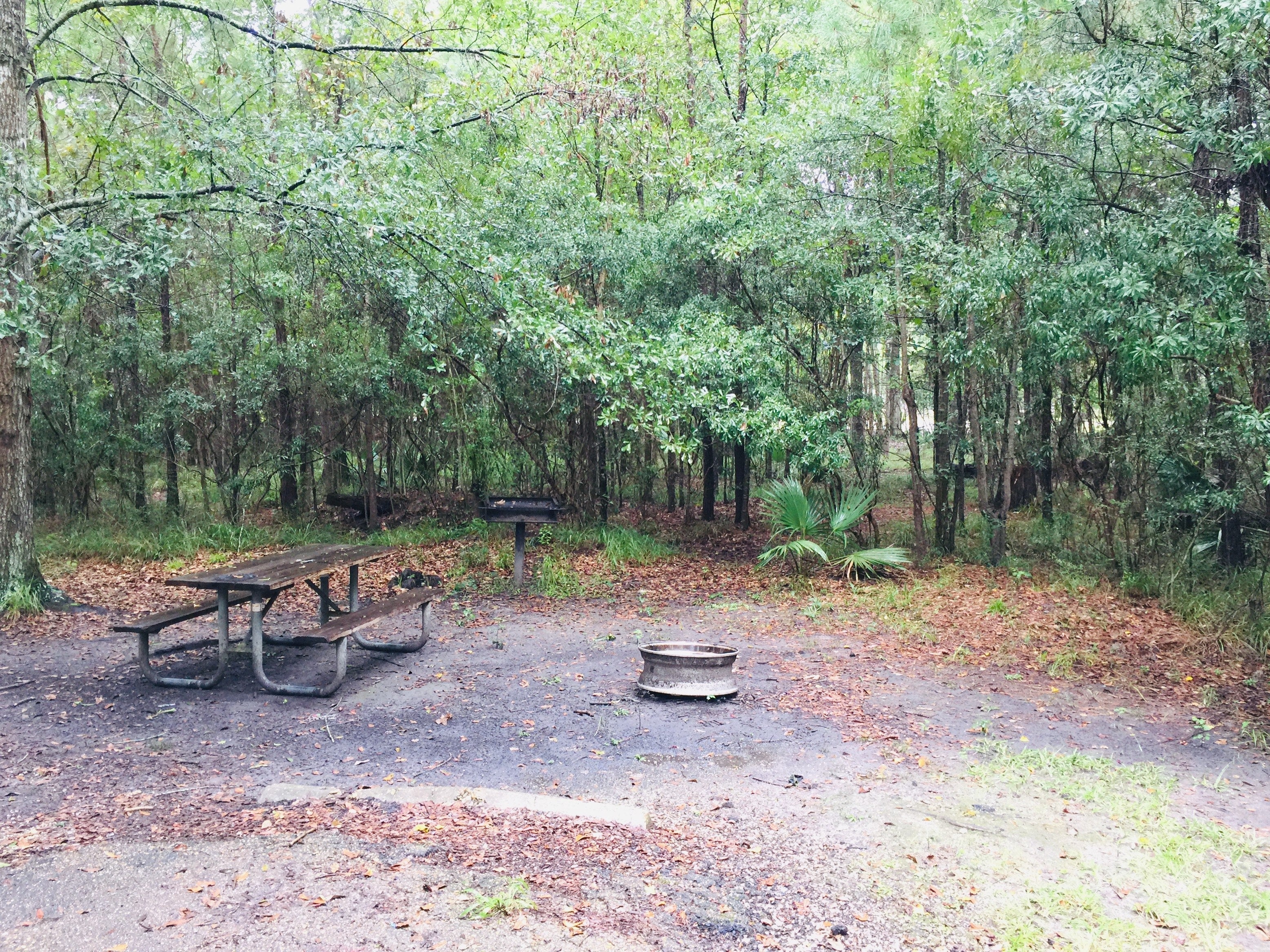 Camper submitted image from Tentrr State Park Site - Louisiana Fontainebleau State Park - Pond View G - Single Camp - 2