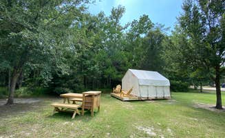 The Dyrt's photo at Tentrr State Park Site - Louisiana Fontainebleau State Park - Woodland L - Single Site near Pearl River, LA