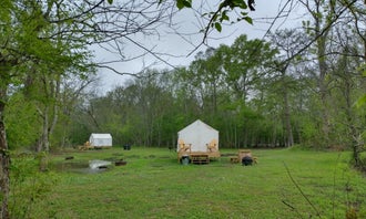 Tentrr State Park Site - Louisiana Lake Fausse Pointe - Cypress Site B - Single Camp