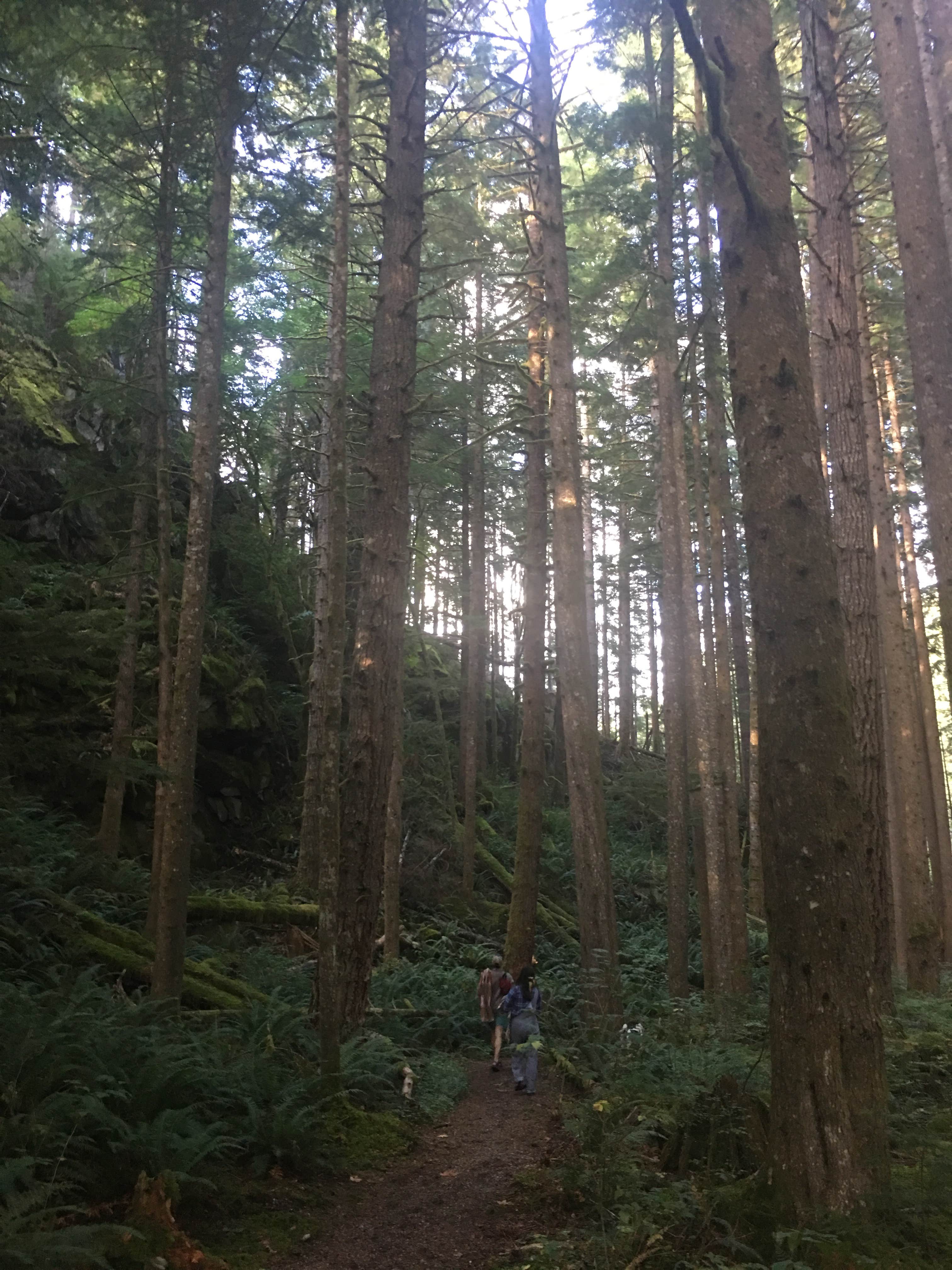 Camper-submitted photo at Middle Fork Campground near Snoqualmie Pass, WA