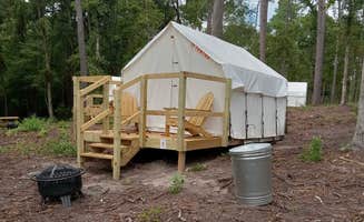 The Dyrt's photo at Tentrr State Park Site - Louisiana North Toledo Bend State Park - Lakeview C - Single Camp near San Augustine, TX