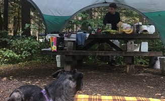 Ryan F.'s photo of camping with pets at Middle Fork Campground near North Bend, WA