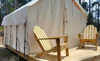 The Dyrt's photo at Tentrr State Park Site - Louisiana North Toledo Bend State Park - Lakeview B - Single Camp near Sabine National Forest