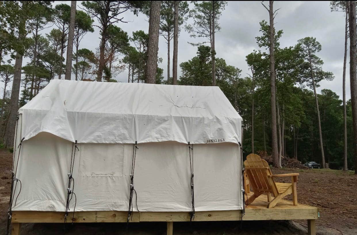 The Dyrt's photo at Tentrr State Park Site - Louisiana North Toledo Bend State Park - Lakeview B - Single Camp near Sabine National Forest