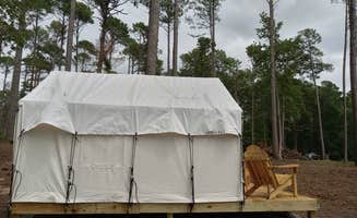 The Dyrt's photo at Tentrr State Park Site - Louisiana North Toledo Bend State Park - Lakeview B - Single Camp near San Augustine, TX