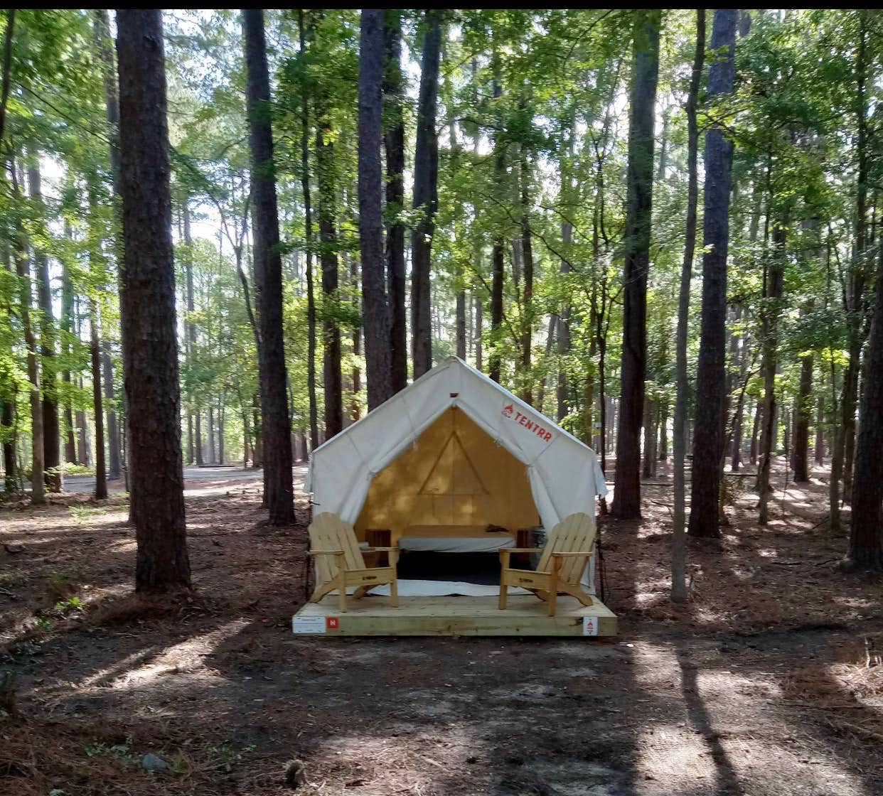 Camper submitted image from Tentrr State Park Site - Louisiana North Toledo Bend State Park - Forest Glade H - Single Camp - 1