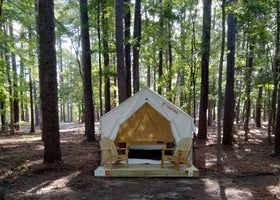 Tentrr State Park Site - Louisiana North Toledo Bend State Park - Forest Glade H - Single Camp