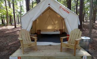 The Dyrt's photo at Tentrr State Park Site - Louisiana North Toledo Bend State Park - Forest Glade H - Single Camp near San Augustine, TX