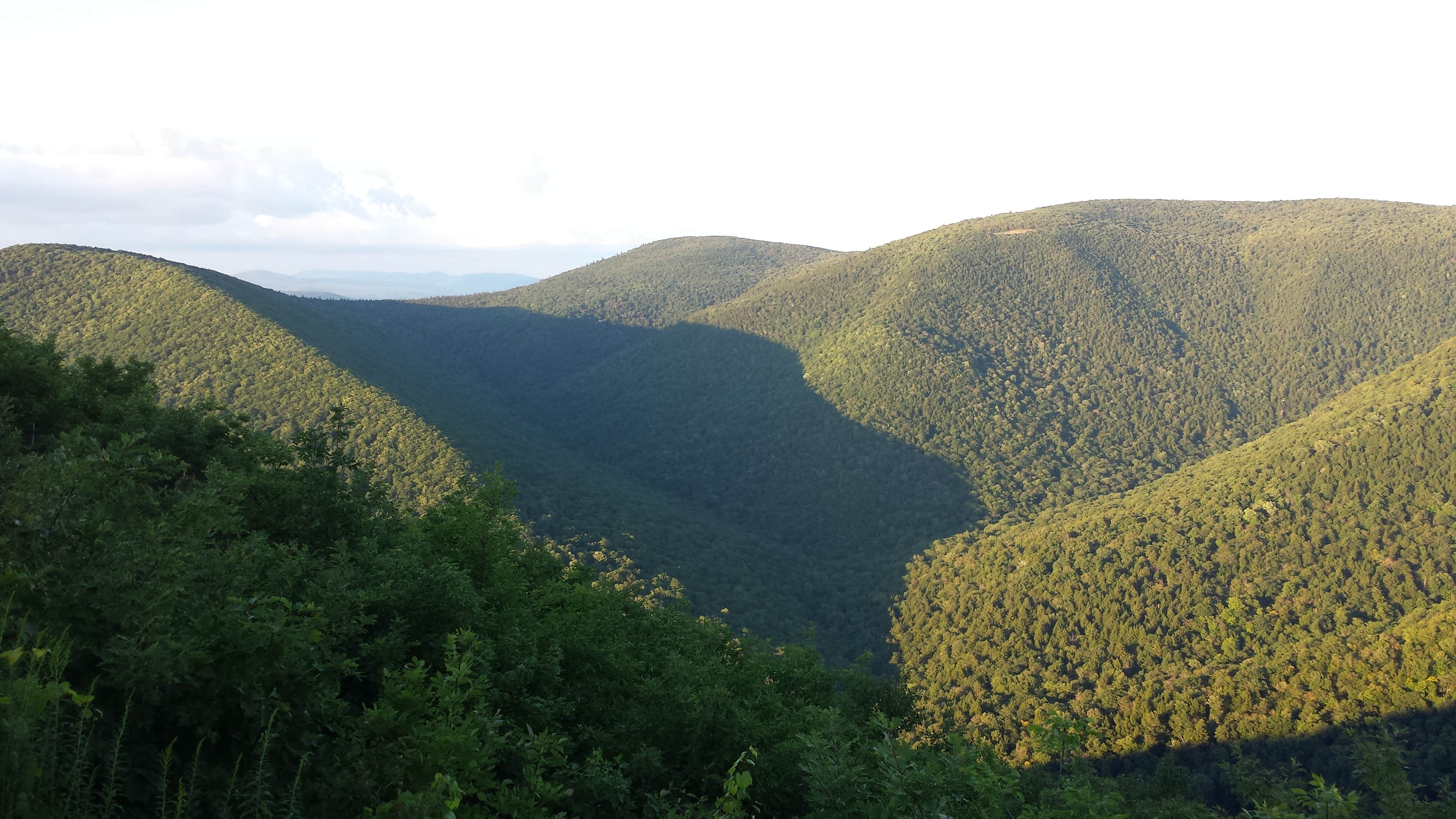 Camper submitted image from Mount Greylock State Reservation - 2