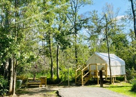 Tentrr State Park Site - Louisiana Tickfaw State Park - Woodland C - Single Camp